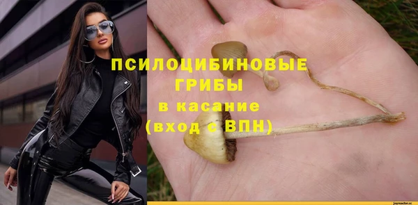 гидропоника Баксан