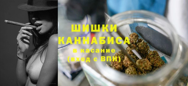 ПСИЛОЦИБИНОВЫЕ ГРИБЫ Аркадак