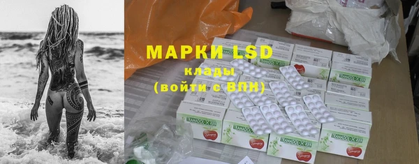 PSILOCYBIN Балахна