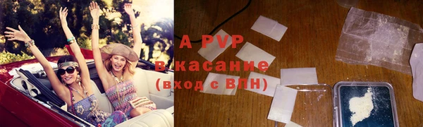 PSILOCYBIN Балахна